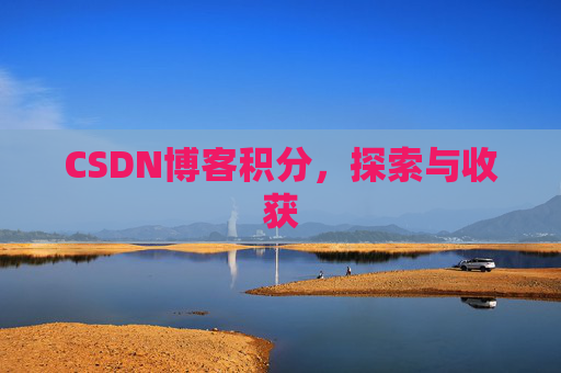 CSDN博客积分，探索与收获